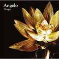 Angeloר Design