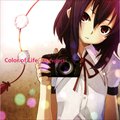 ͬSר XL-PROJECT C Color of Life