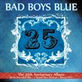 Bad Boys Blueר 25
