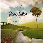 Owl Cityר Alligator Sky (Single)