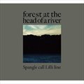 Spangle call Lilli lineר forest at the head of a river