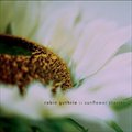 Robin GuthrieČ݋ Sunflower Stories