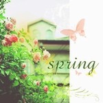 Spring（钢琴曲） EP