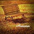 Autumn(钢琴曲) EP