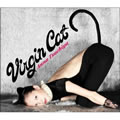 专辑Virgin Cat
