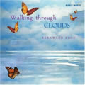 01ר (Walking Through Clouds)