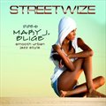 Streetwize Does Mary J. Blige