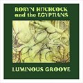 Robyn Hitchcockר Luminous Groove