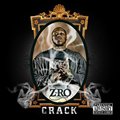 Z-RoČ݋ Crack