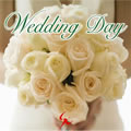 채수인Č݋ Wedding Day
