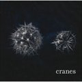 专辑Cranes