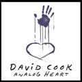 David CookČ݋ analog heart