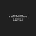 Nick Cave & the Bad Seedsר B-Sides & Rarities cd1