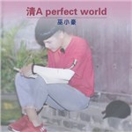专辑清A perfect world