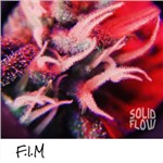 SOLID FLOW̬ר F.I.M