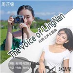 专辑The voice of LingNan