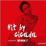 专辑HIt by a cicada