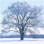 专辑Cabbage