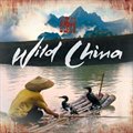 Wild China Theme