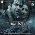 Tum Mile (Rock) (Shafqat Amanat Ali)