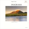 专辑Panorama