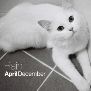 Rain (Feat. ssoon)
