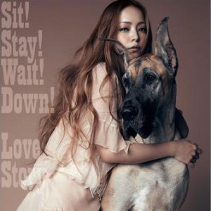 专辑Sit!Stay!Wait!Down! / Love Story (single)
