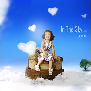 in the sky(ࣩ
