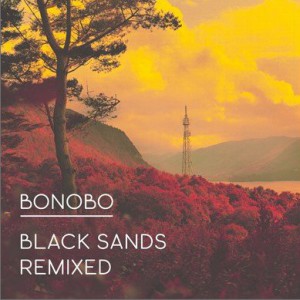 Black Sands (Duke Dumonts Grains Of Sand Reconstruction Edit)