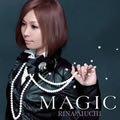MAGIC -instrumental-