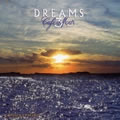 Cafe.del.Mar.Dreams.Vol.3(һ)