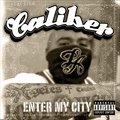 I Was Raised In The Hood (Feat. Caliber, Kayottic & Lefty Kn