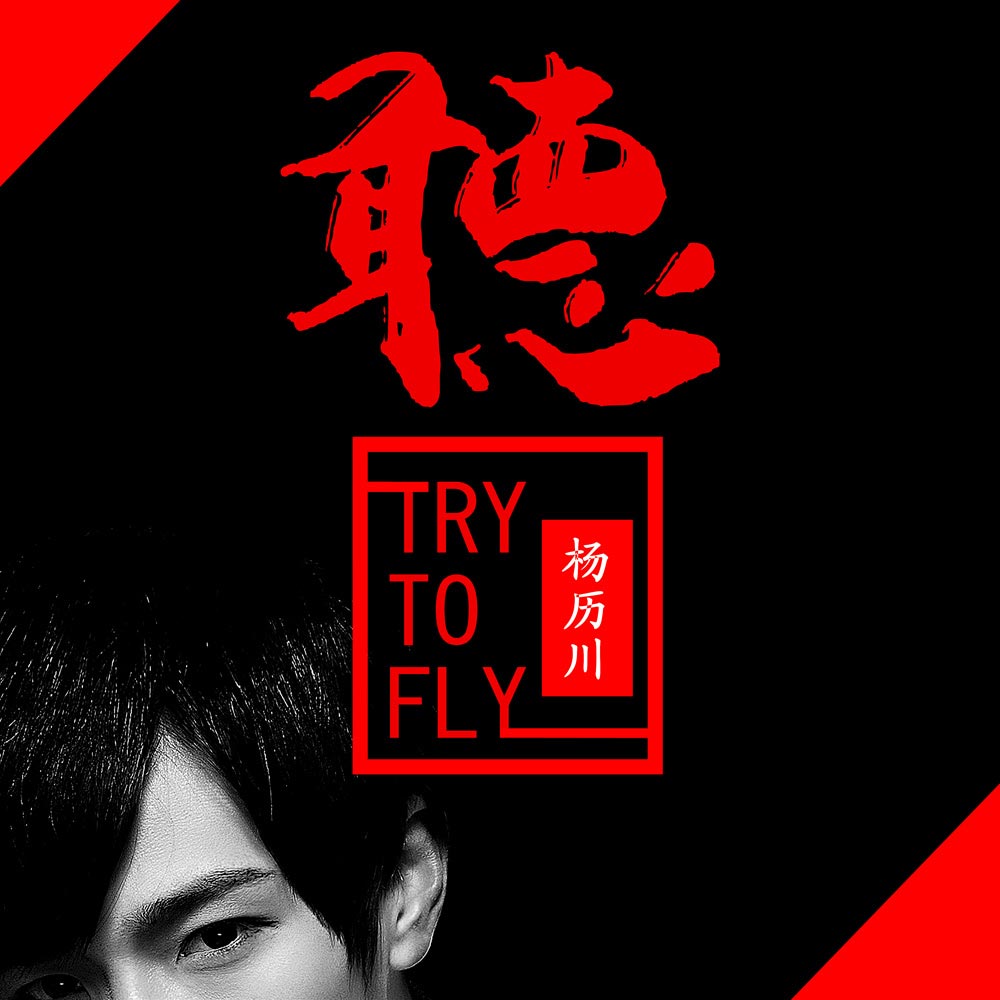 TRY TO FLY