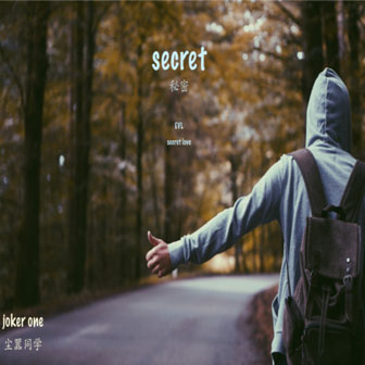 secret loveࣩ