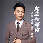 音樂(lè)專輯：此生我等你
