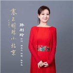 音樂(lè)專輯：塞上明珠小北京