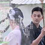 歌手 謝軍 的專輯 槐蔭樹下