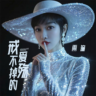 戒不掉的愛殤(伴奏)