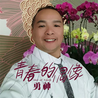 青春的偶像